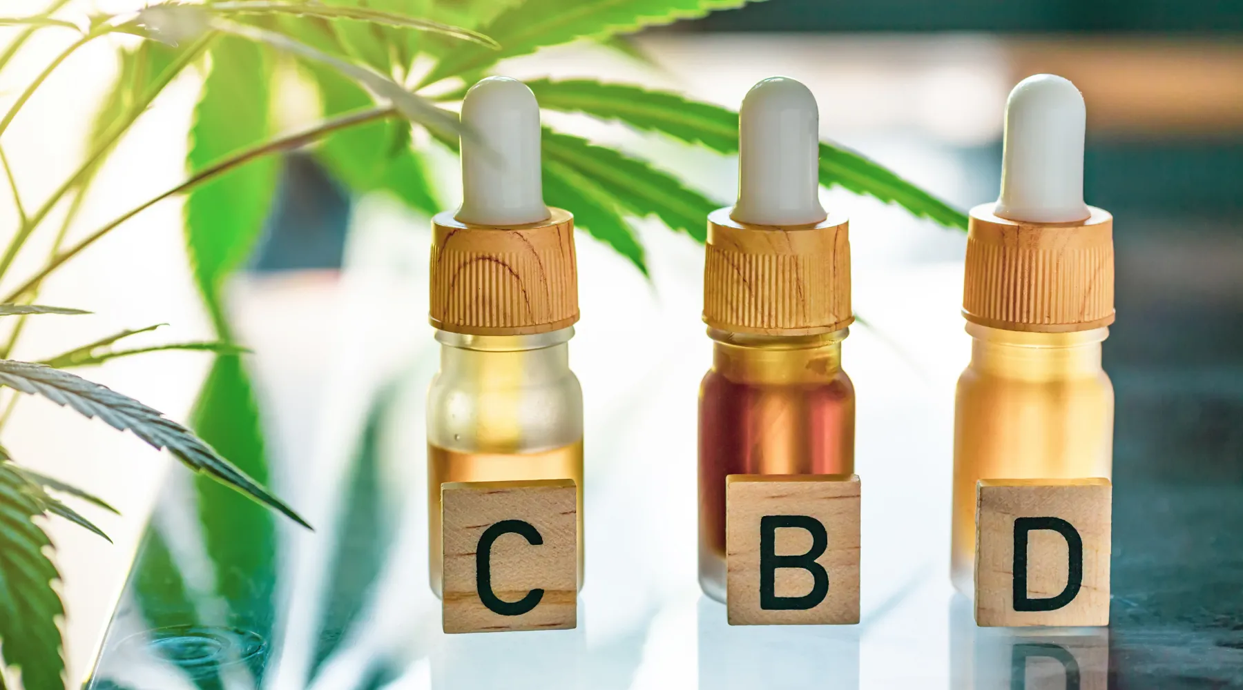 CBD and Alcohol Use